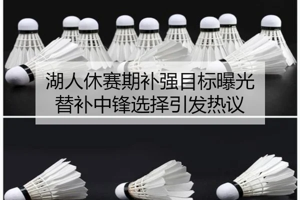 湖人休赛期补强目标曝光 替补中锋选择引发热议